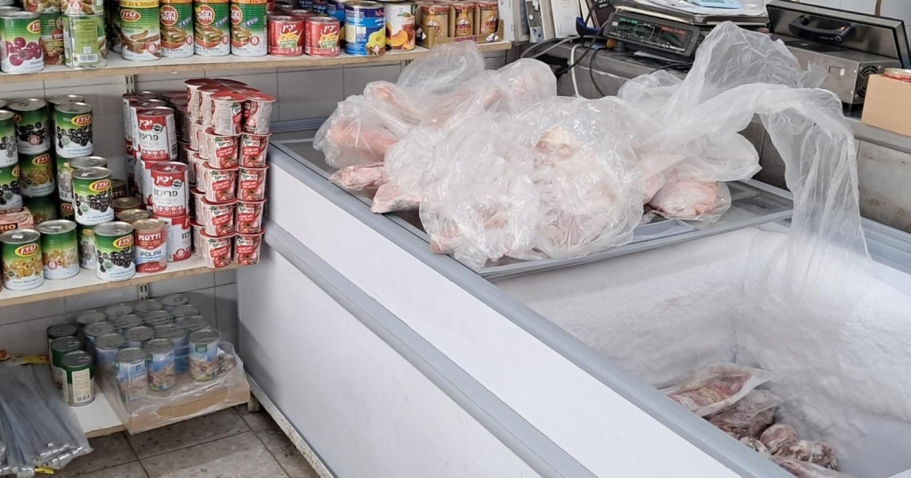 פורטל הכרמל