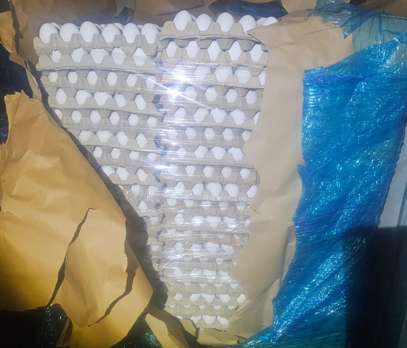 פורטל הכרמל