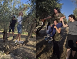 הדרך לעלייה לארץ עוברת בחקלאות