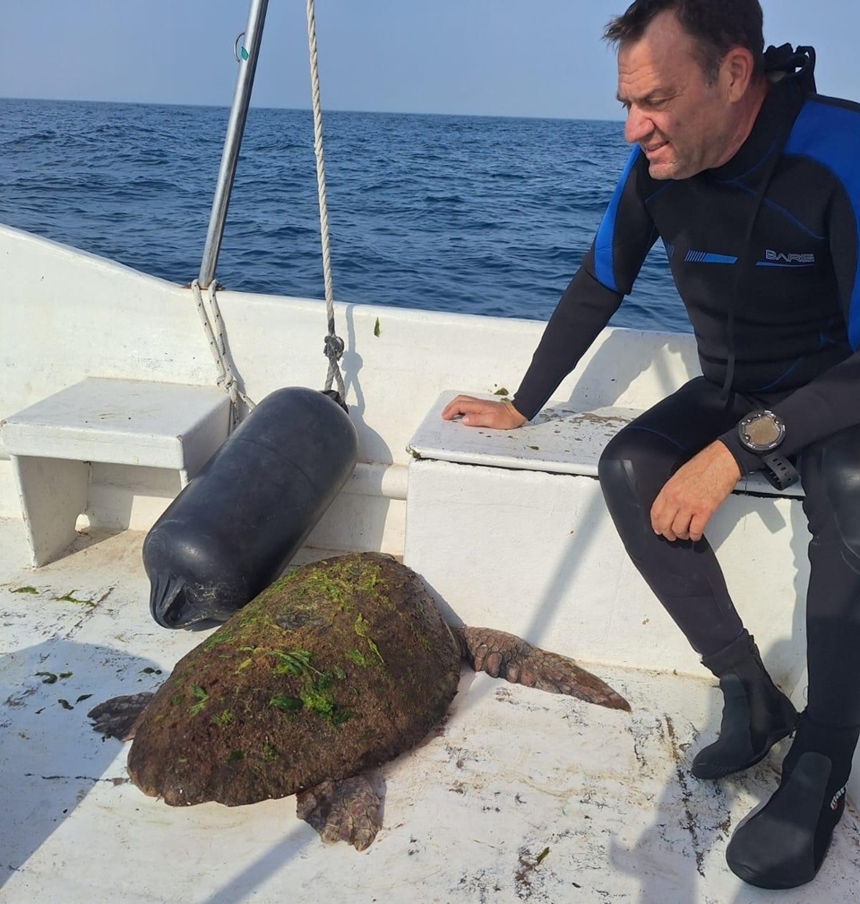 פורטל הכרמל