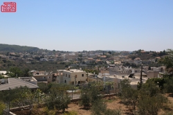 מבט לעמק הזיתים בעוספיה