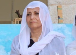  نماء الوعي جولة تحليليّة