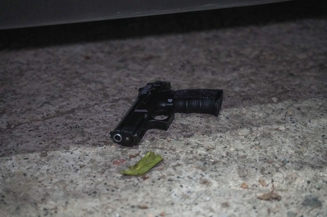 פורטל הכרמל