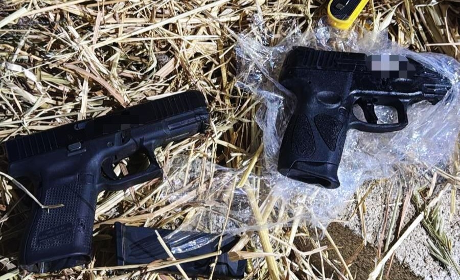 פורטל הכרמל