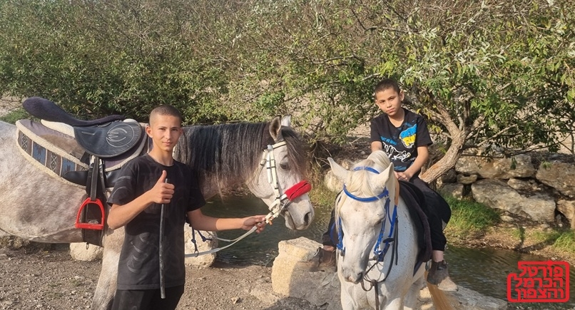 מחמד וג'אבר והסוסים בעין סוסים