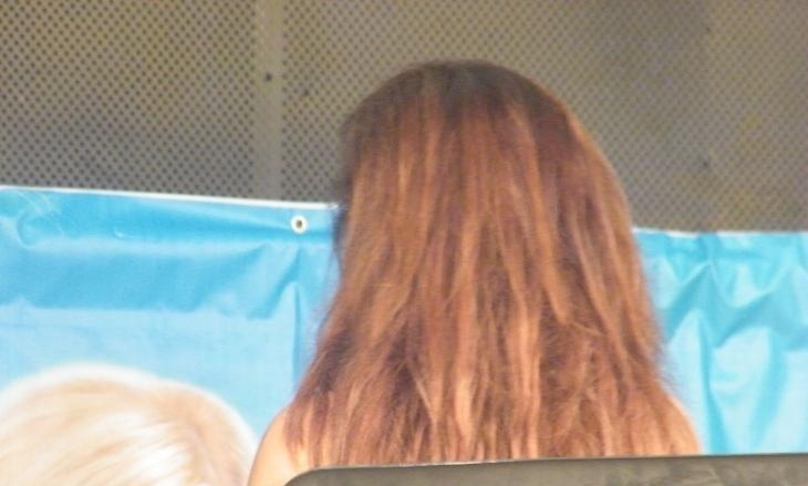 פורטל הכרמל