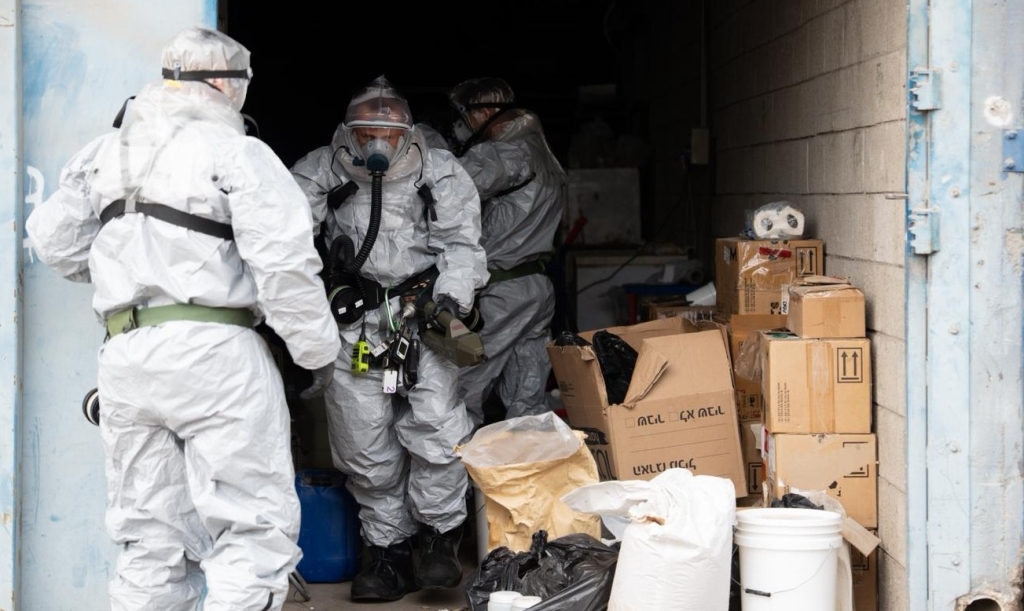 פורטל הכרמל