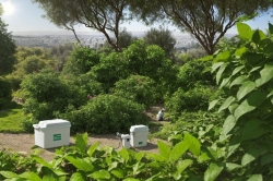 שירותי הדברה ירוקה הדרך הבטוחה להילחם במזיקים בצפון