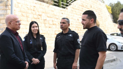 מניעת אלימות במשפחה באמצעות פיקוח אלקטרוני