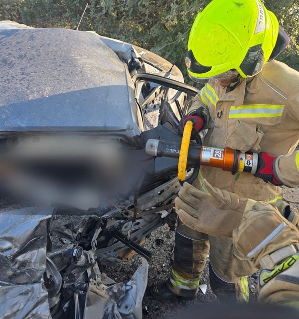 פורטל הכרמל