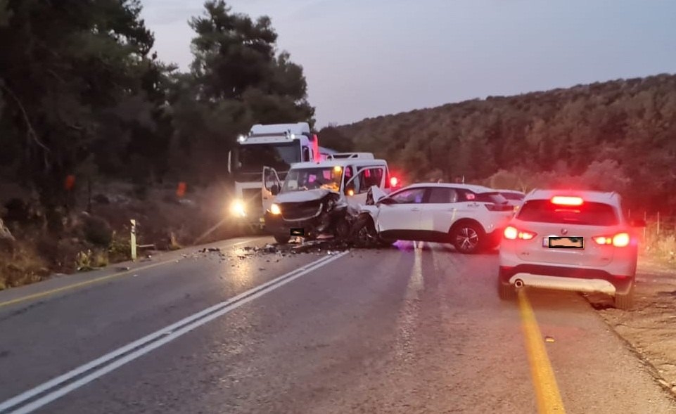 פורטל הכרמל