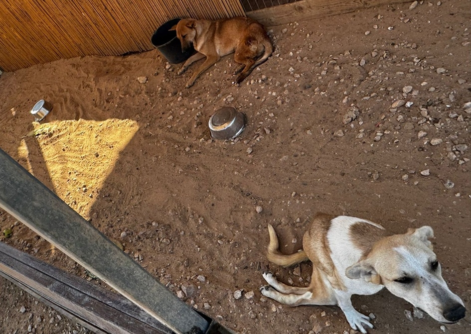 פורטל הכרמל