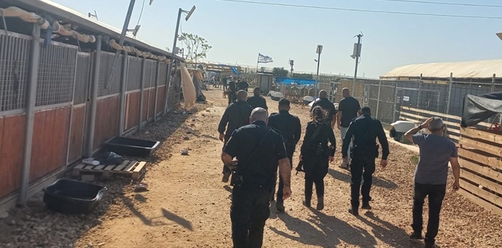 פורטל הכרמל