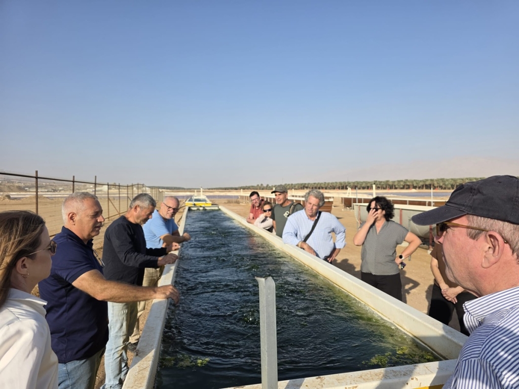 אצות לא רק בסושי