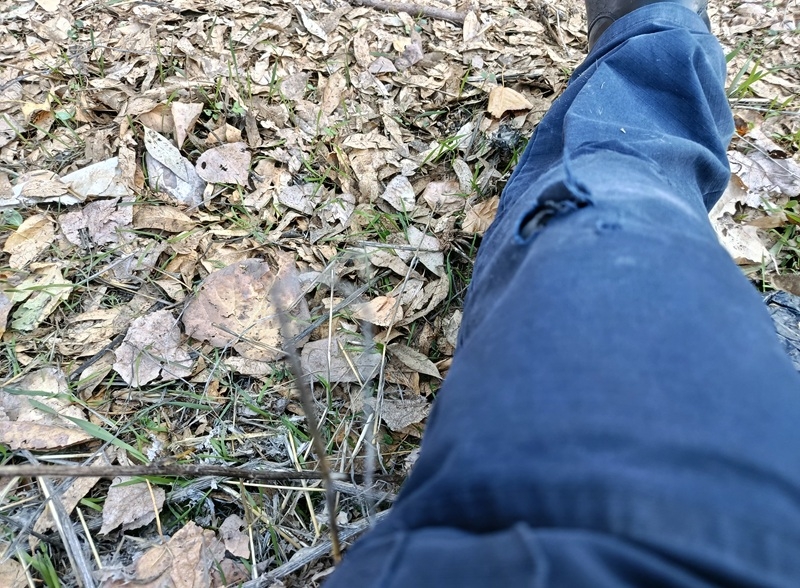 תושב דליה ועו"ד חשודים בהוצאת וקיזוז חשבוניות פיקטיביות