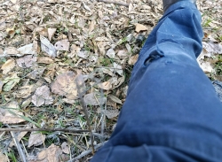 תושב דליה ועו