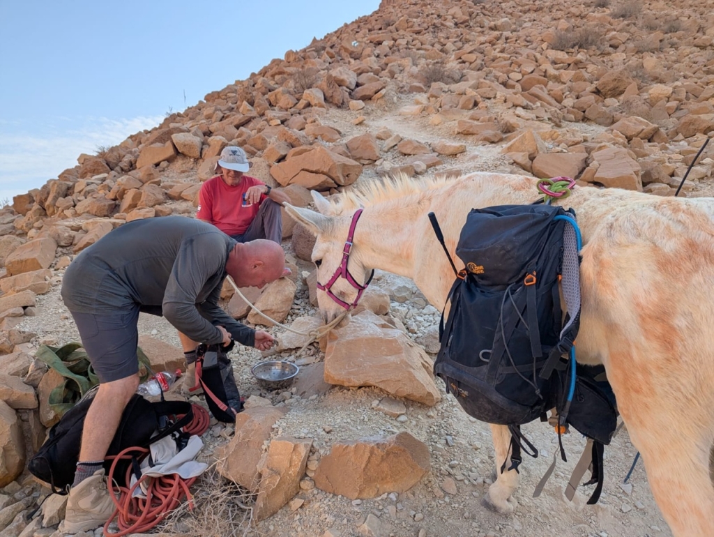 פורטל הכרמל