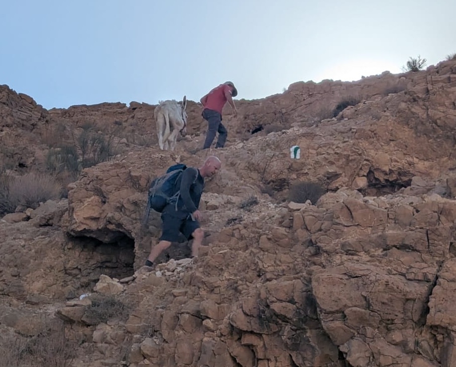 פורטל הכרמל