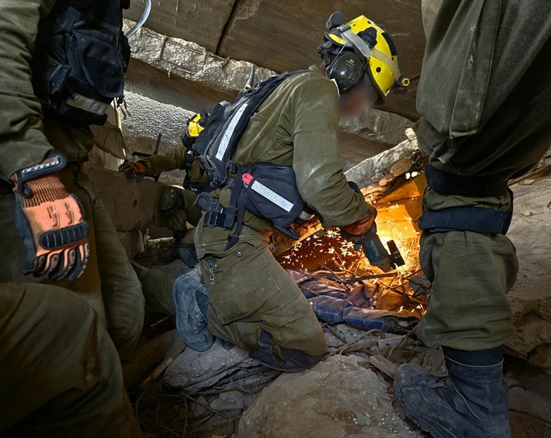 פורטל הכרמל