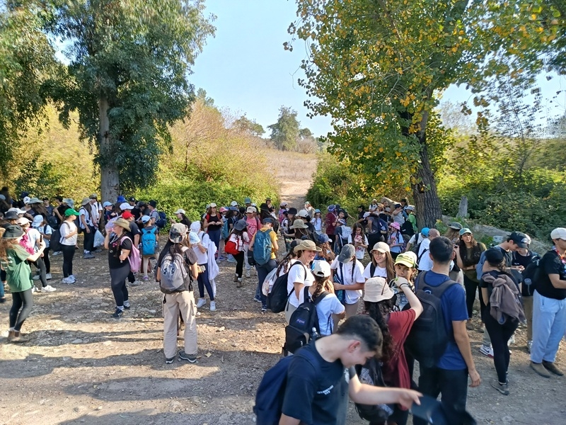 עלייה מדאיגה בפניות לסיוע משפטי בתחום אלימות במשפחה