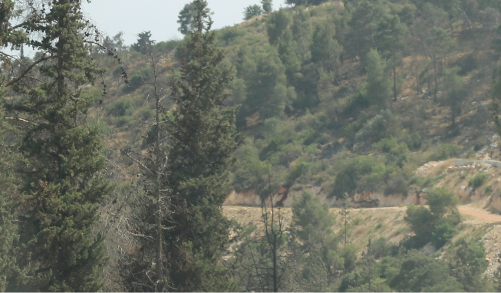 שיווקו במרמה קרקעות ציבוריות