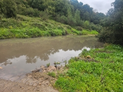 הזרמת מי ביוב לאדמות החקלאיות בזראעה