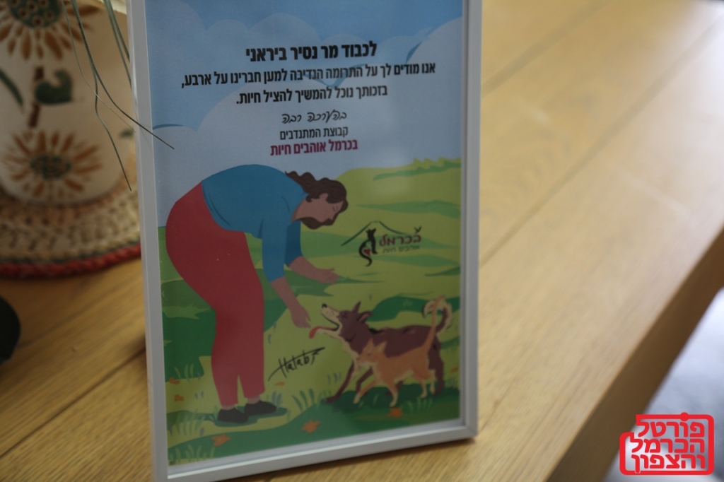 פורטל הכרמל