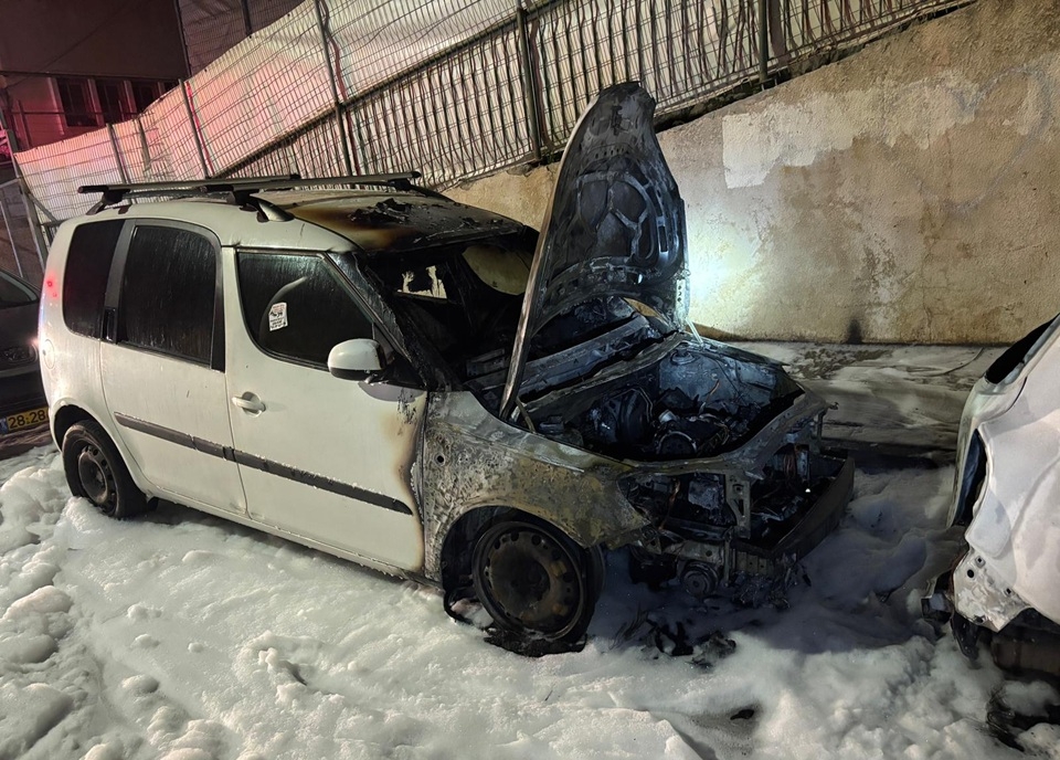 פורטל הכרמל