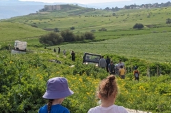 חנוכה בטבע פעילות חינמית לכל המשפחה