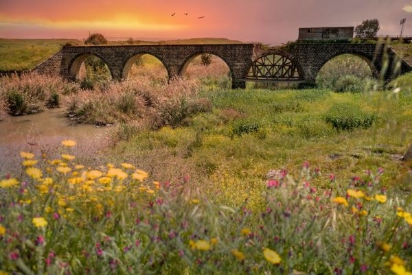 פורטל הכרמל