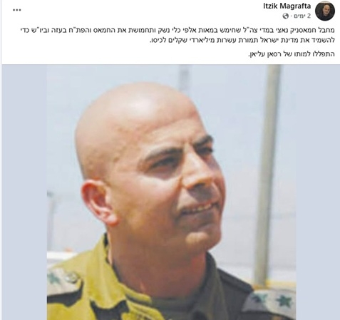 פורטל הכרמל