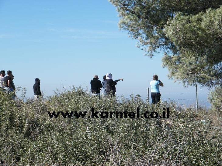 פורטל הכרמל