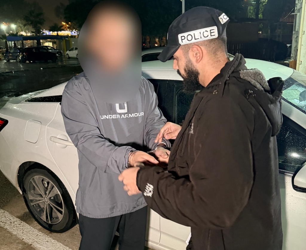 פורטל הכרמל