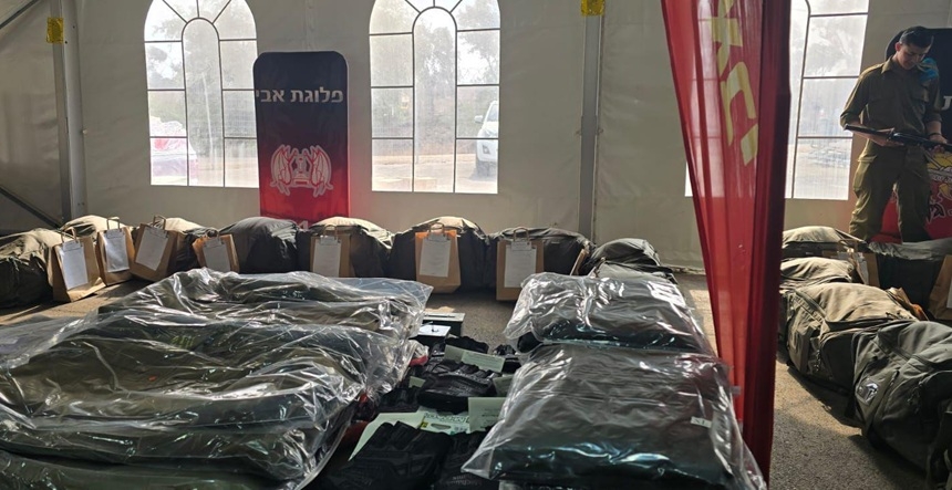 פורטל הכרמל