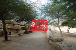 הצעת פרסום באתר המוביל שלא תקבלו בשום מקום