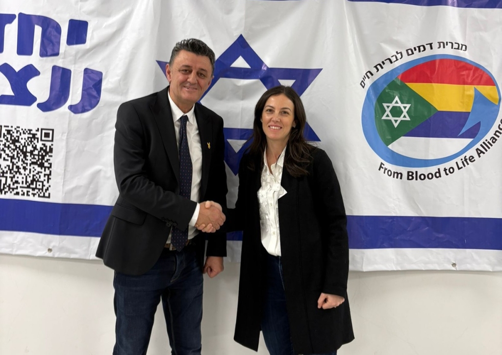 פורטל הכרמל