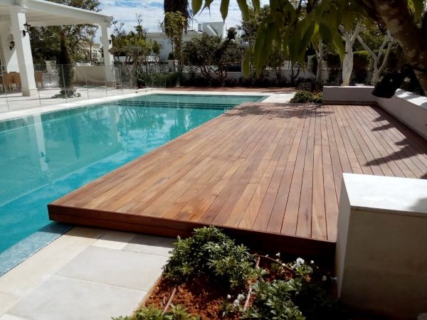 מדריך בחירת עץ איכותי