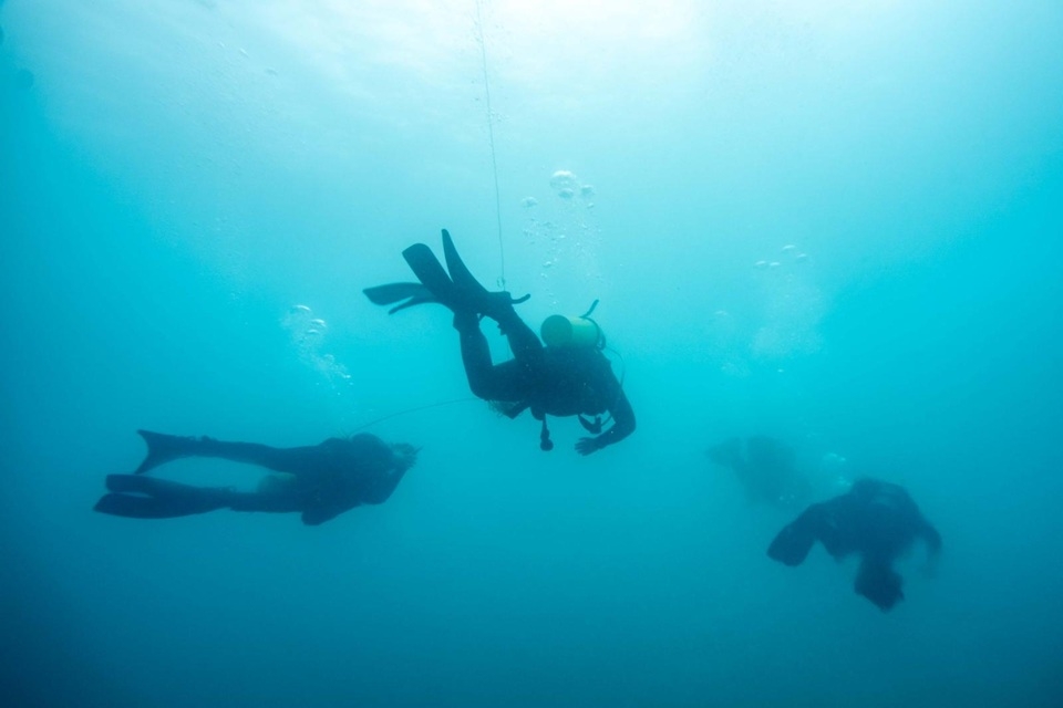 פורטל הכרמל