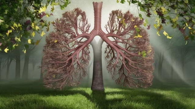 איכות חיים: איך חיים טוב גם עם אסתמה שמאובחנת מאוחר?