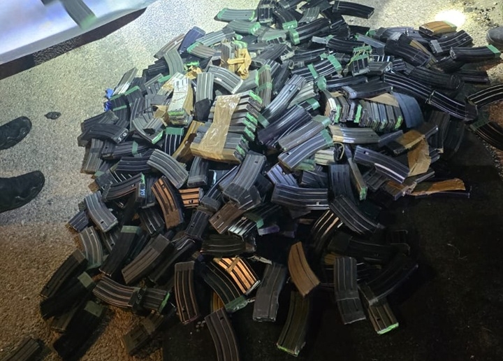 פורטל הכרמל