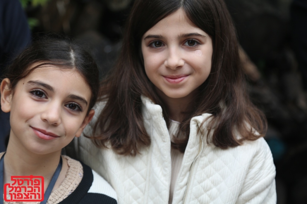 פורטל הכרמל