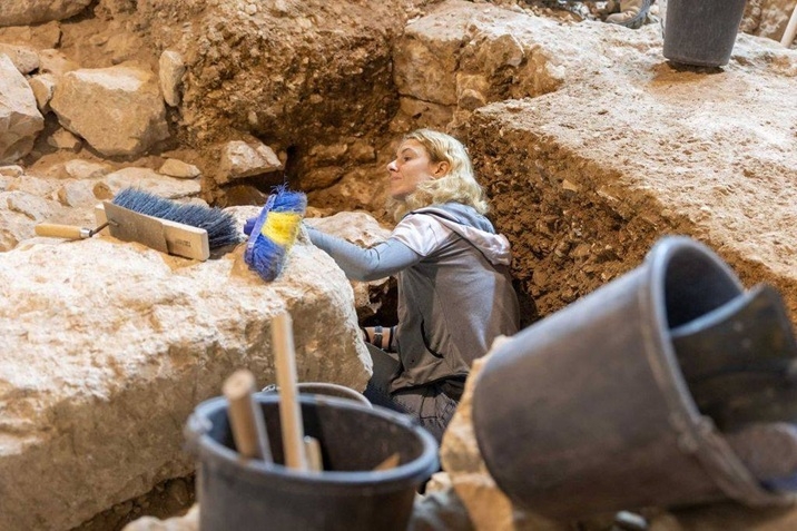 פורטל הכרמל