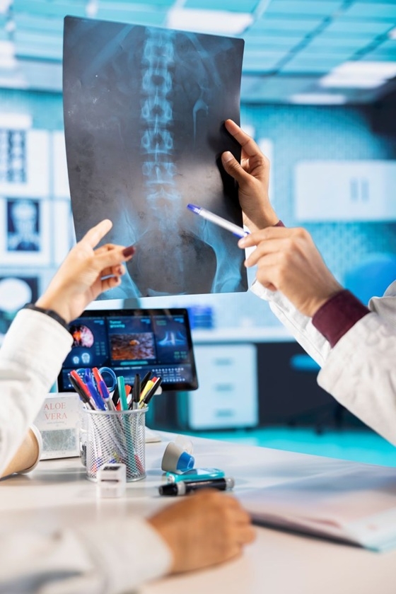 פורטל הכרמל