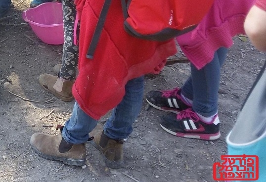 עלייה בכמות הדיווחים על אלימות מינית במערכת החינוך