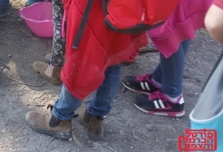 עלייה בכמות הדיווחים על אלימות מינית במערכת החינוך