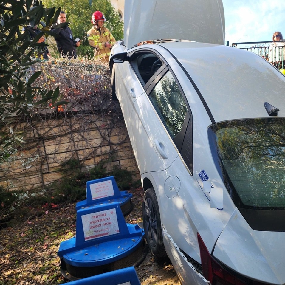 פורטל הכרמל