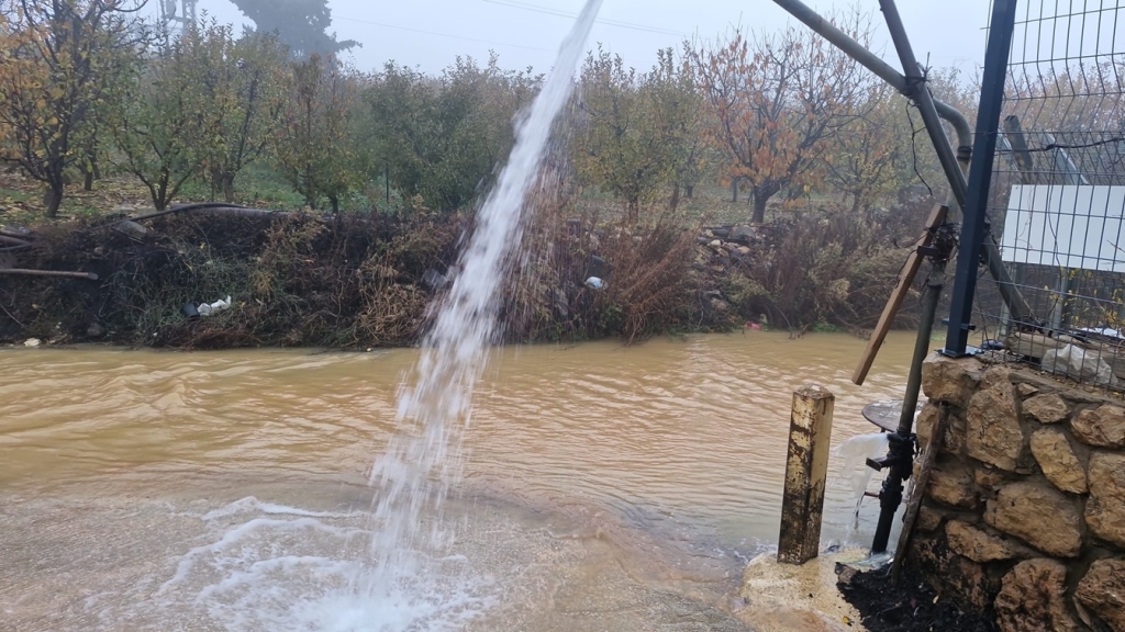 פורטל הכרמל