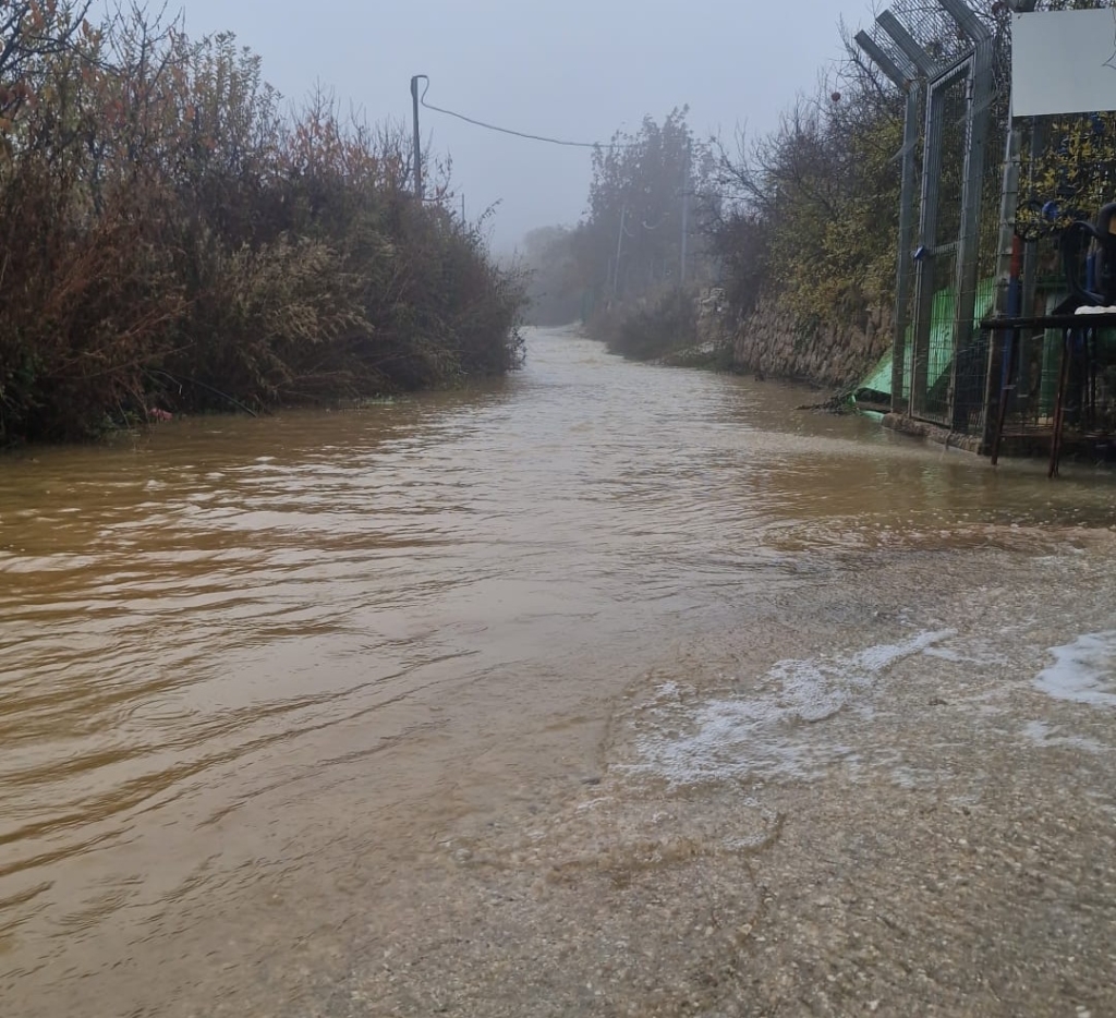 מטעי מסעדה מגדל שמס בגולן