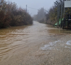 מטעי מסעדה מגדל שמס בגולן