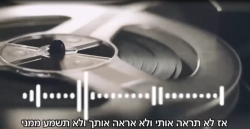 מאבק שוטרי הצפוני בעבירות הפרוטקשן